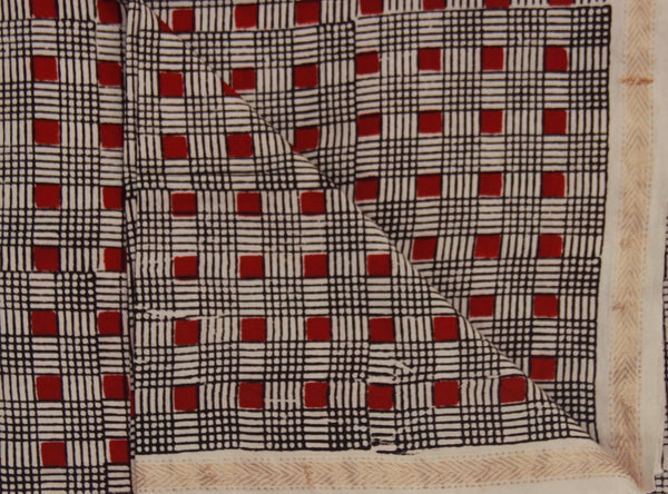 REHWA Bagh Print Maheshwari Handwoven Fabric With V Borders
